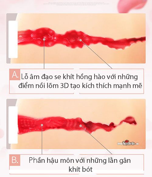 Búp bê silicon ngực nhỏ (BB12E) 15 Cấu trúc bên trong của búp bê silicon nâng ngực mini BB12E